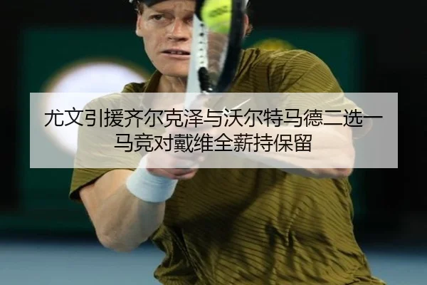 尤文引援齐尔克泽与沃尔特马德二选一 马竞对戴维全薪持保留